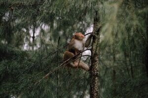 G67c9507cdaf35986412f1695eb5a969f79bf308435d4ebf9d369af75df986aa41a555b37cf16e9c12c4a872d5a0c2de4586a378311d1289b117773078b843ee5 640